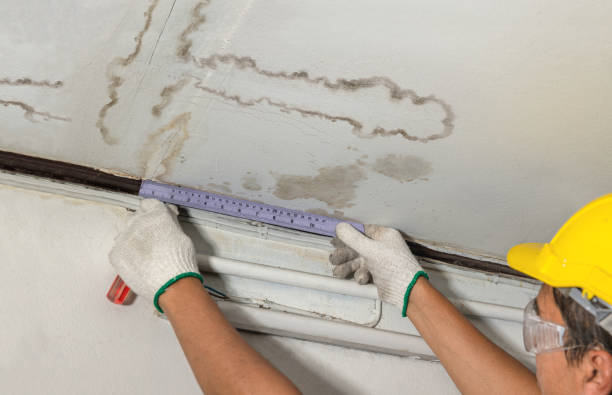 Affordable Water Damage Repair solutions in Auburn, ME